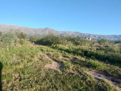 Terreno en Venta de 3600,0 m2