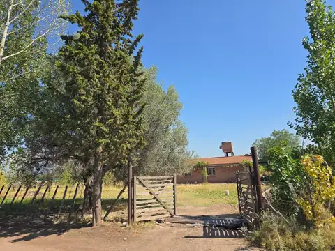 VENTA Finca / Casa Quinta - Villa Seca, Maipú