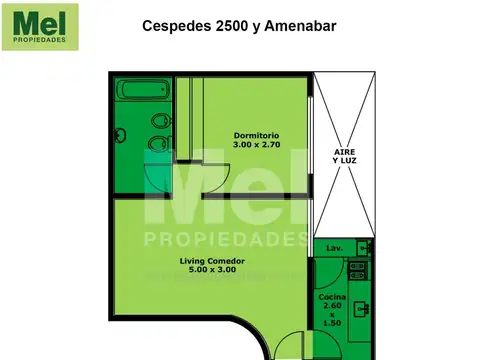 Cespedes 2500