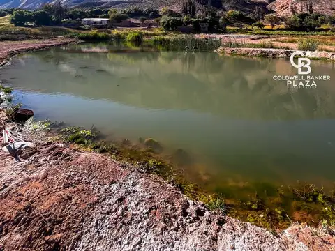 Venta terreno en maimara