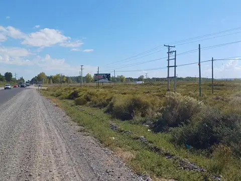 TERRENO APTO INDUSTRIA, 6,13 HAS sobre RP 69 y RP 7, VACA MUERTA