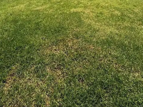 Depto Tipo Casa en Venta de Monoambiente