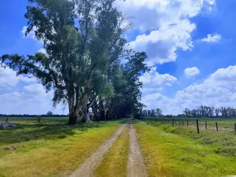 Campo en Venta en Rosario, Santa Fe