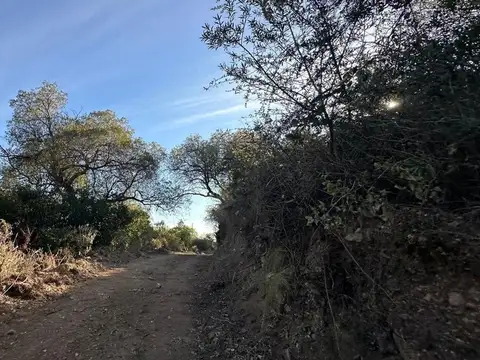 Terreno en Venta de 766,0 m2