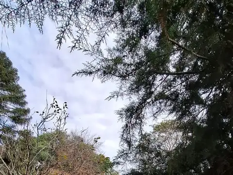 Terreno en Venta en Esperanza, Las Colonias