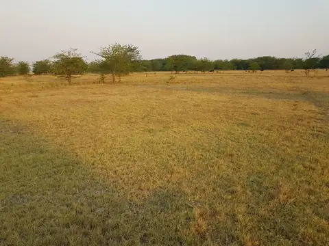 Maipú