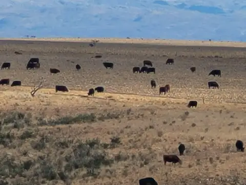 Venta de 5860 ha en La Toma San Luis
