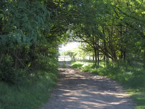 Venta de 5860 ha en La Toma San Luis