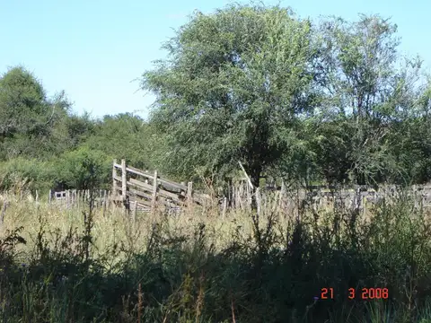 Venta de 5860 ha en La Toma San Luis