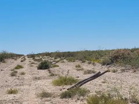 10.000 HECTAREAS , EN LA PAMPA PARTIDO DE PUELEN, EXELENTE