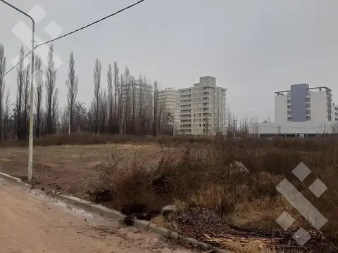 Urmenio Figueroa y Obrero Argentino
