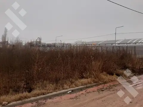 Terreno en Venta 33  mts Fondo