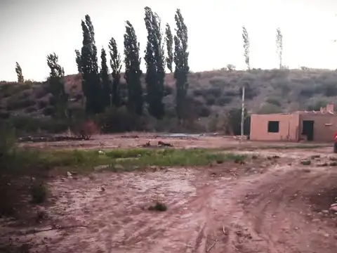 VENTA CAMPO DE 7,69 HAS EN VILLA NUEVA CALINGASTA