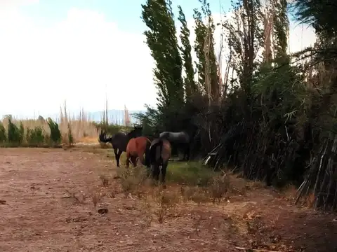 RUTA 431, 1KM AL NORTE DE PUENTE DE VILLA NUEVA 100