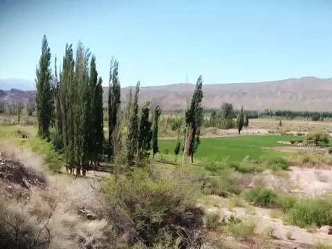 RUTA 431, 1KM AL NORTE DE PUENTE DE VILLA NUEVA 100