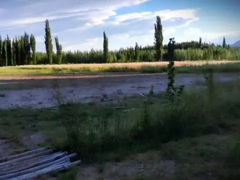 VENTA CAMPO DE 7,69 HAS EN VILLA NUEVA CALINGASTA