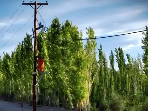 RUTA 431, 1KM AL NORTE DE PUENTE DE VILLA NUEVA 100
