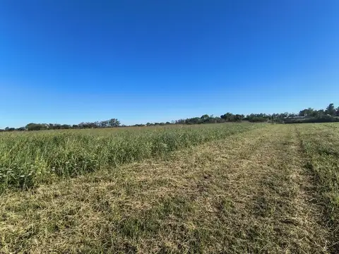 Terreno en Venta en Miramar, USD 39.000