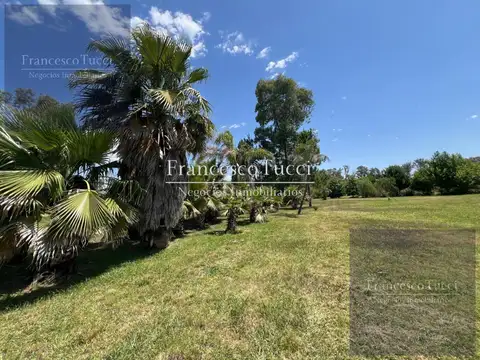 Terreno en Venta de 10000,0 m2