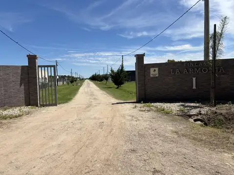 143 y 620, Arana