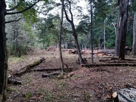 Terreno en Venta 27  mts Frente