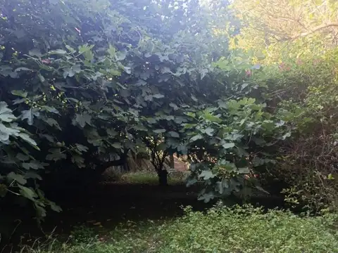 Terreno en Venta en Florencio Varela, USD 300.000