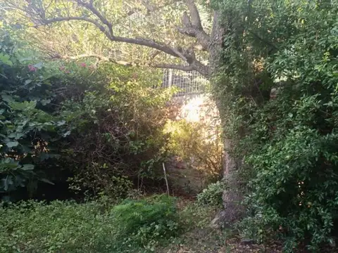 Terreno en Venta de 1287,0 m2