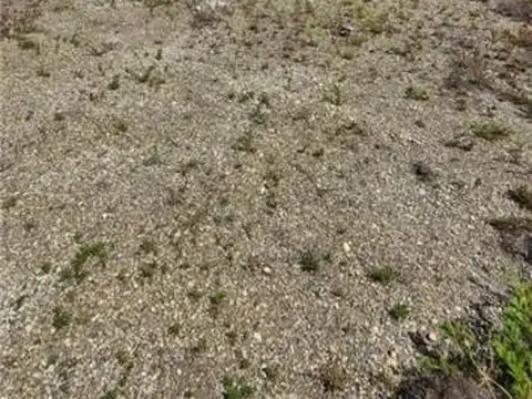 TERRENOS/FRACCIONES/LOTEOS - TERRENOS - SAN MARTÍN NORTE, RÍO GRANDE