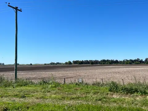 13 Has. Sobre Ruta 8, Km 90