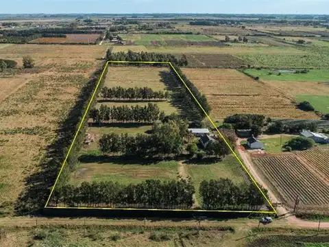 Campo en Venta de 3,50  ha
