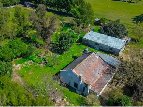 3.5 Ha, Colonia Wilson - Descanso  y Esparcimiento