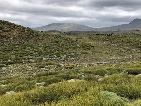 VENTA LOTE LAGO HUECHULAFQUEN casi 1/2 hectárea  OPORTUNIDAD!