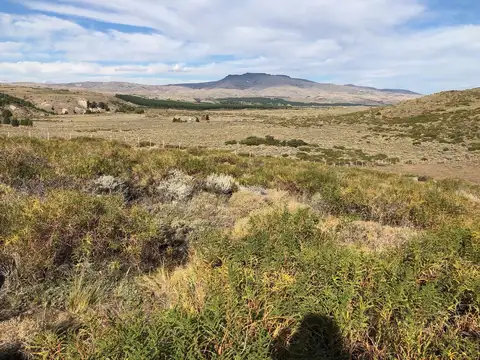 CASI 1/2 hectárea 4400 M2 LAGO HUECHULAFQUEN