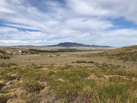 Terreno en Venta de 4500,0 m2