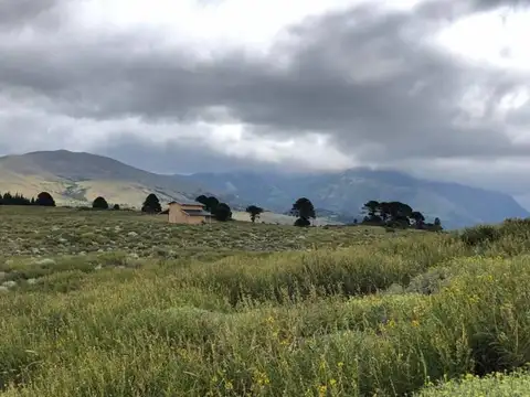 VENTA LOTE LAGO HUECHULAFQUEN casi 1/2 hectárea  OPORTUNIDAD!