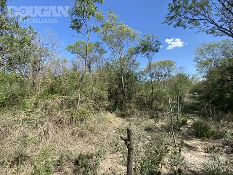 Terreno en Venta - Piedra Blanca