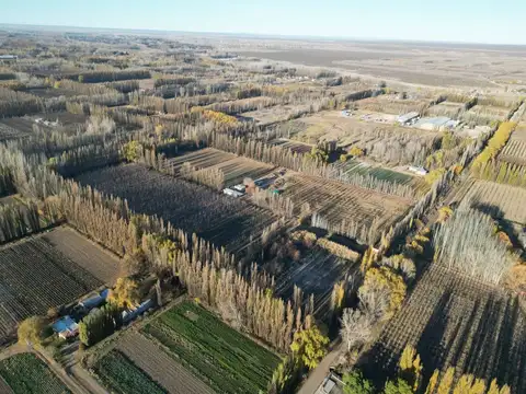 VENTA CHACRA VISTA ALEGRE SUR