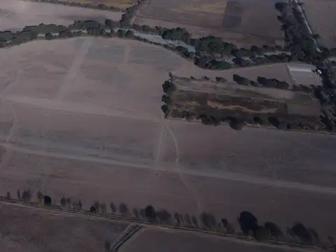 CAMPO en VENTA, Chocoana, Salta Argentina, 38,5 hectáreas productivas.