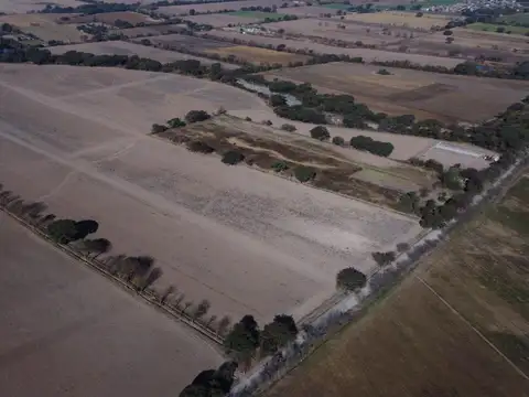 CAMPO en VENTA, Chocoana, Salta Argentina, 38,5 hectáreas productivas.