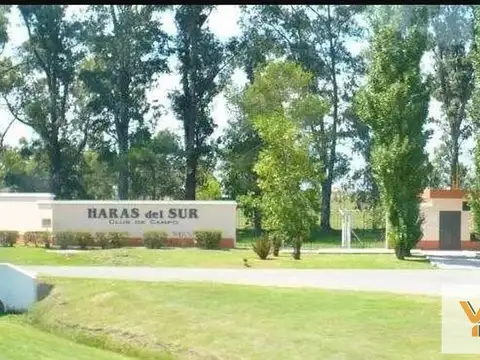 Haras del Sur I