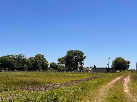 Terreno en Venta en Laplacette, USD 26.000