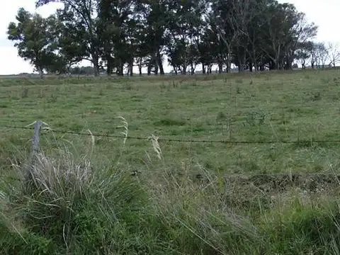 Terreno en Venta 150  mts Fondo