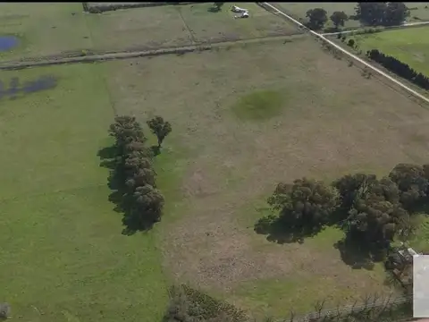 Campo en venta - 40.000Mts2 - Las Flores