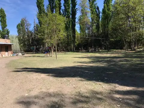 VENTA DE 7.8 HECTAREAS EN PLOTTIER