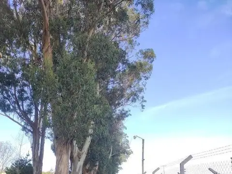 Country del Golf Tierra y Mar