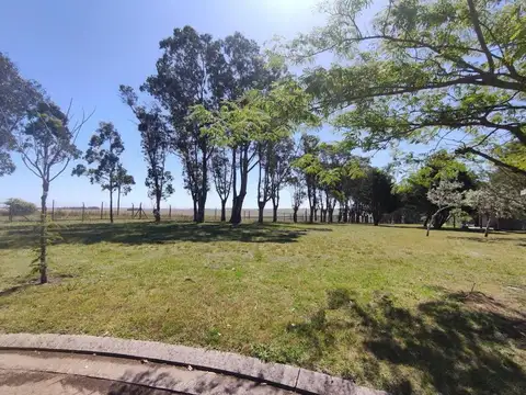 Terreno en Venta en Mar Del Plata, USD 65.000