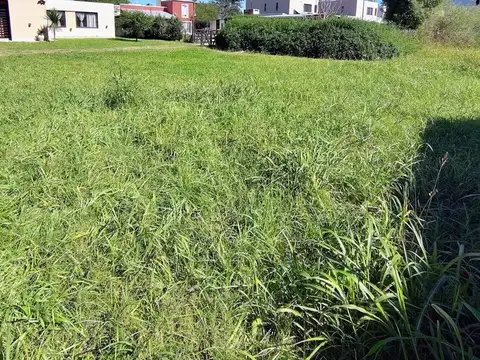 Terreno en Venta de 500,0 m2