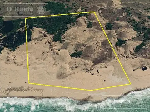Campo en venta de 139 has en Tres Arroyos