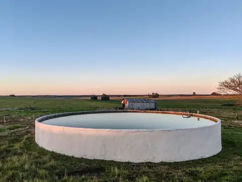 VENTA CHACRA 5 HAS CON CASA EN RUTA 90