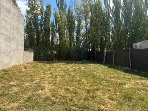 TERRENO EN VENTA EN LA MARTINA I GENERAL ROCA 